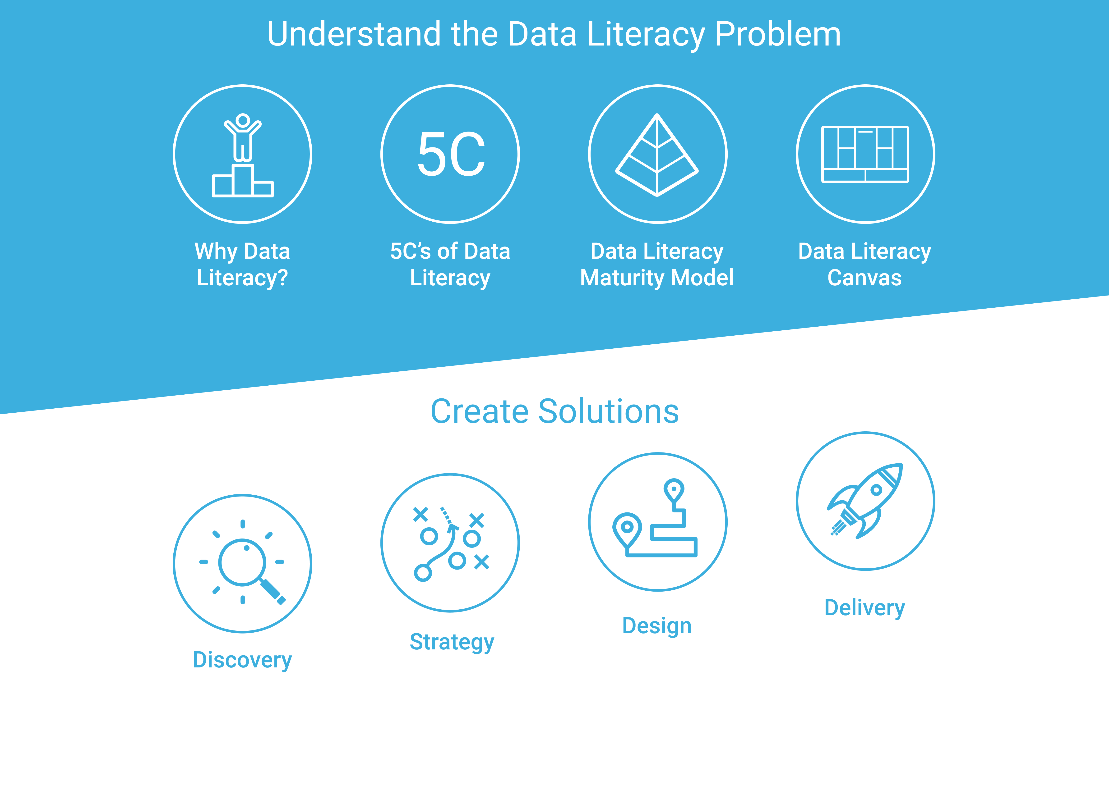 Everything You Ever Wanted to Know about Data Literacy But Were Afraid to Ask